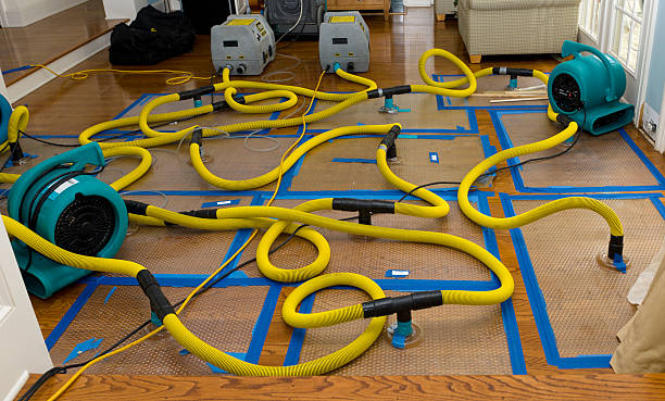 Professional Burst Pipe Water Damage technician working in Miami, MO